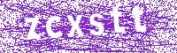 Verification Image